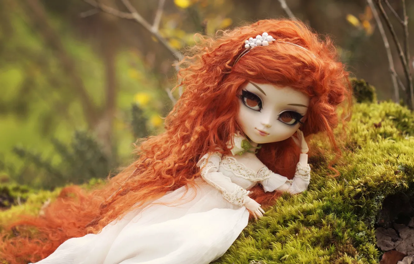 Photo wallpaper toy, moss, doll, redhead