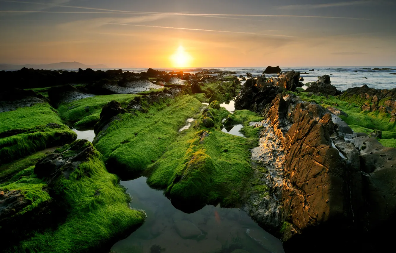 Photo wallpaper sea, the sun, stones, rocks, green