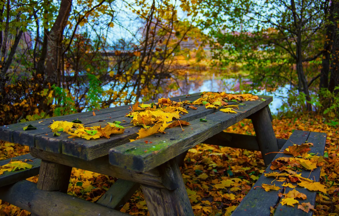 Photo wallpaper autumn, bench, foliage, October