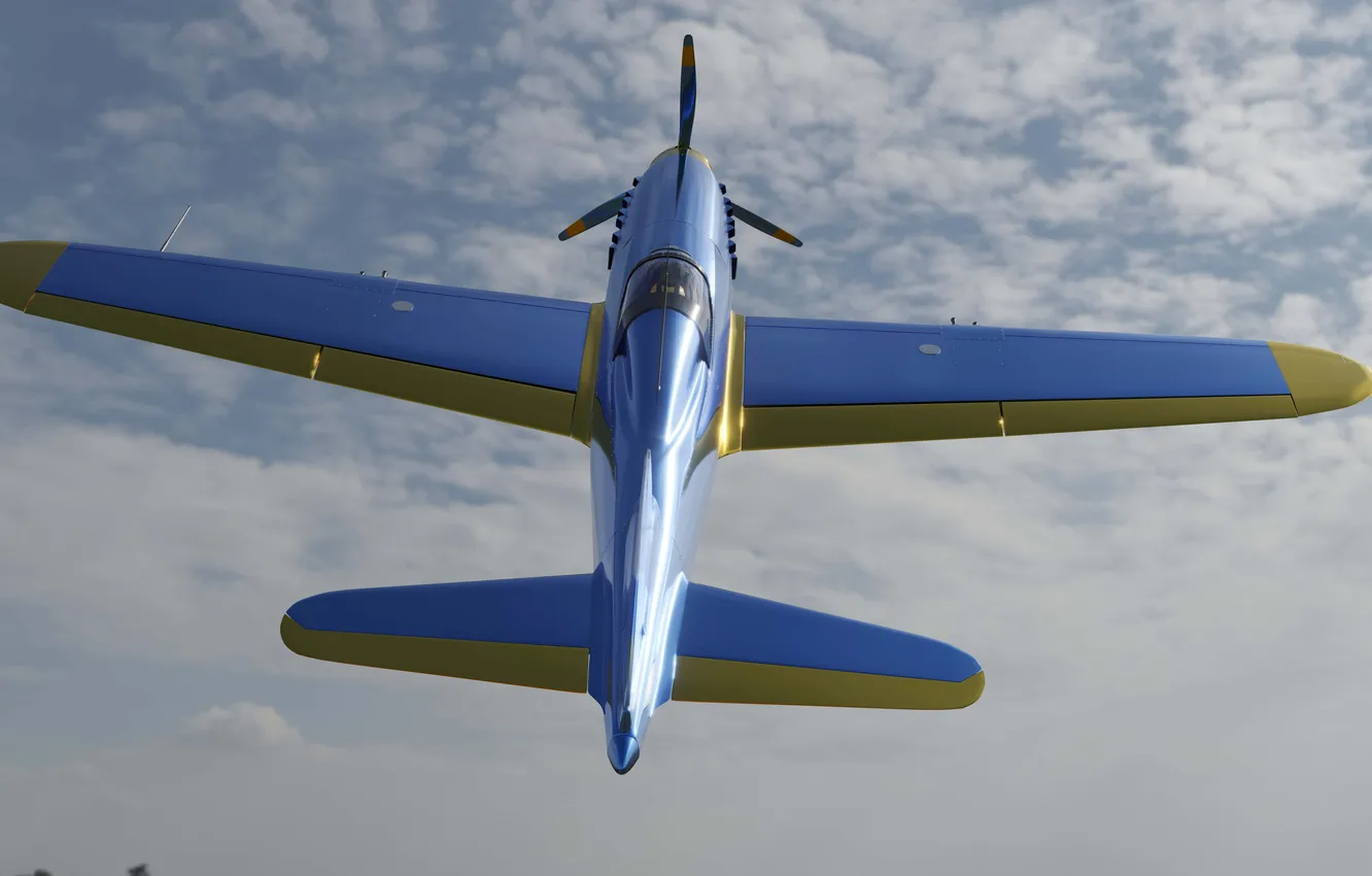 Photo wallpaper plane, rendering