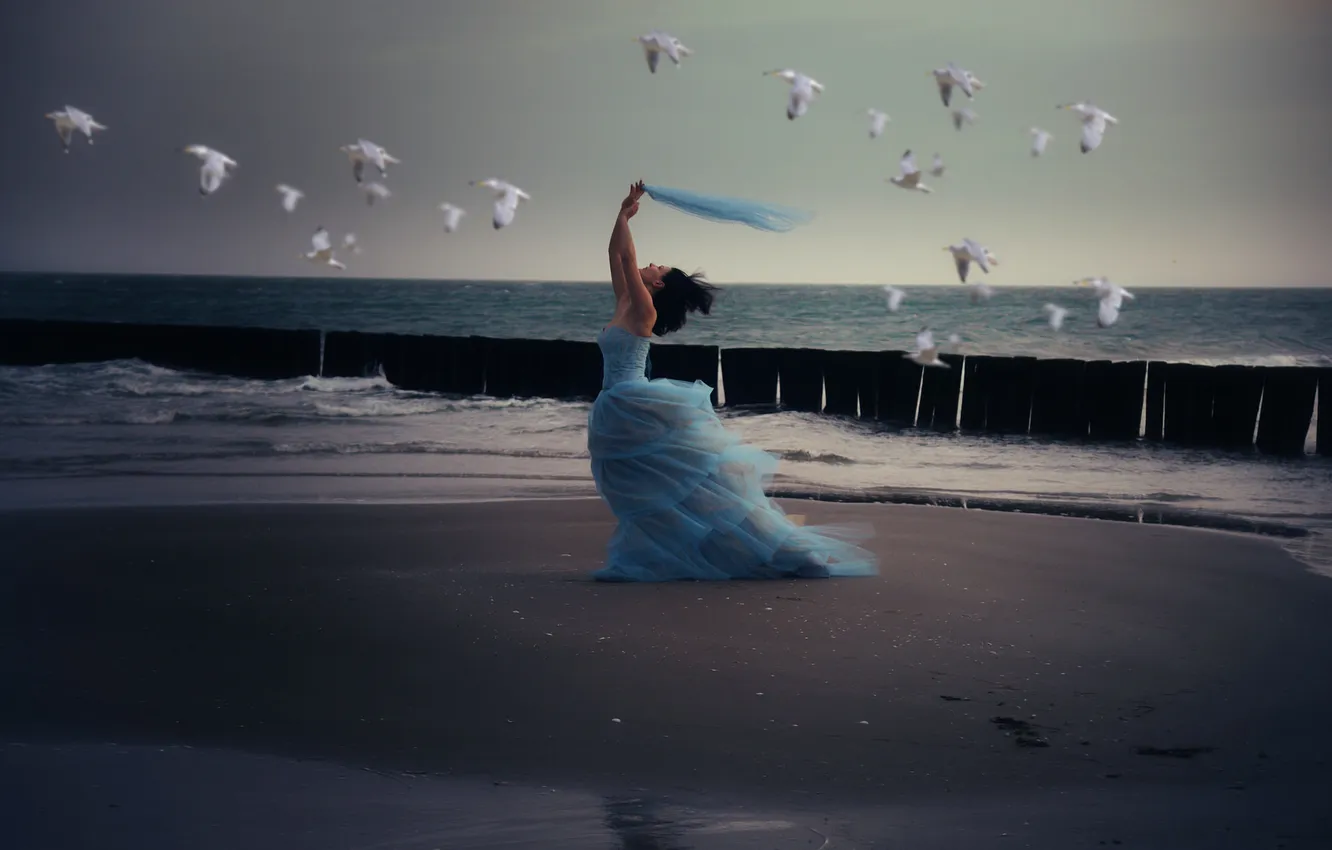 Photo wallpaper girl, the wind, bird, Miss Froggi, cries of seagulls