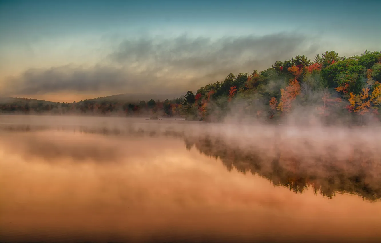 Photo wallpaper the sky, clouds, trees, fog, lake, reflection, mirror