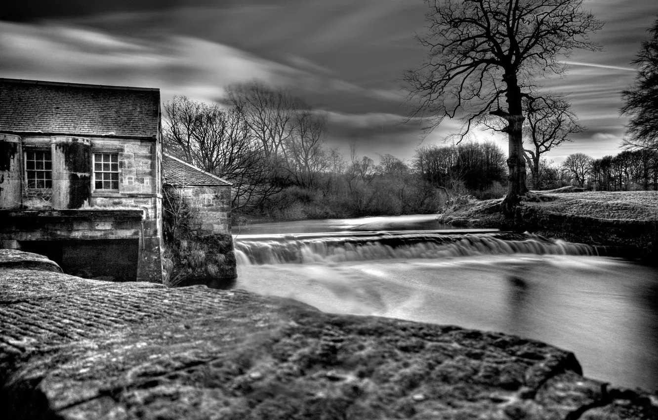 Photo wallpaper water, b/W, dam, the tree on the Bank