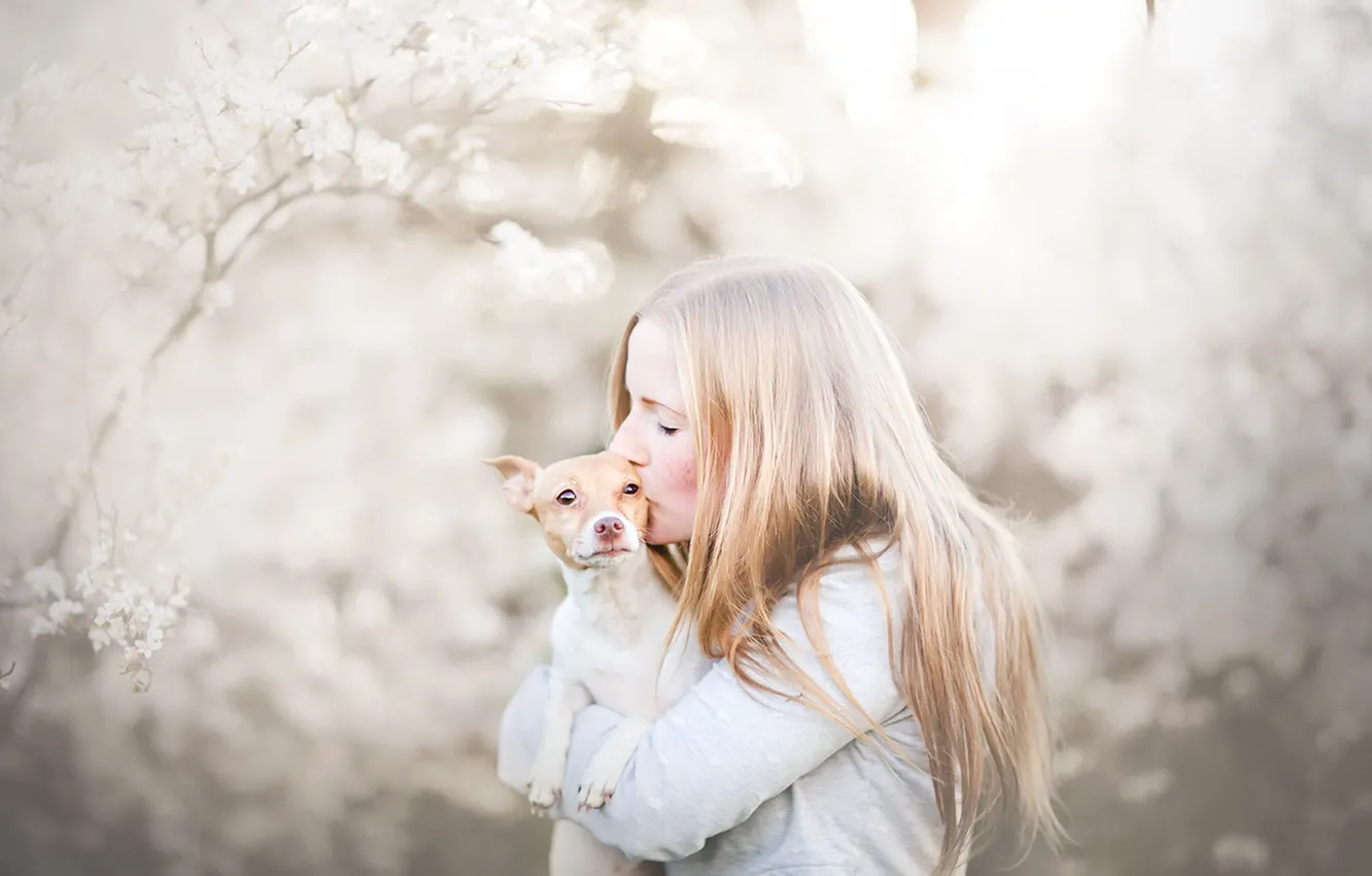 Photo wallpaper girl, each, dog
