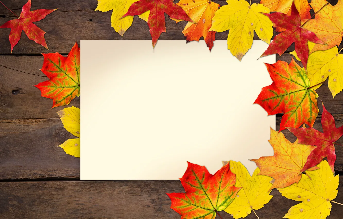 Photo wallpaper autumn, leaves, postcard, blank