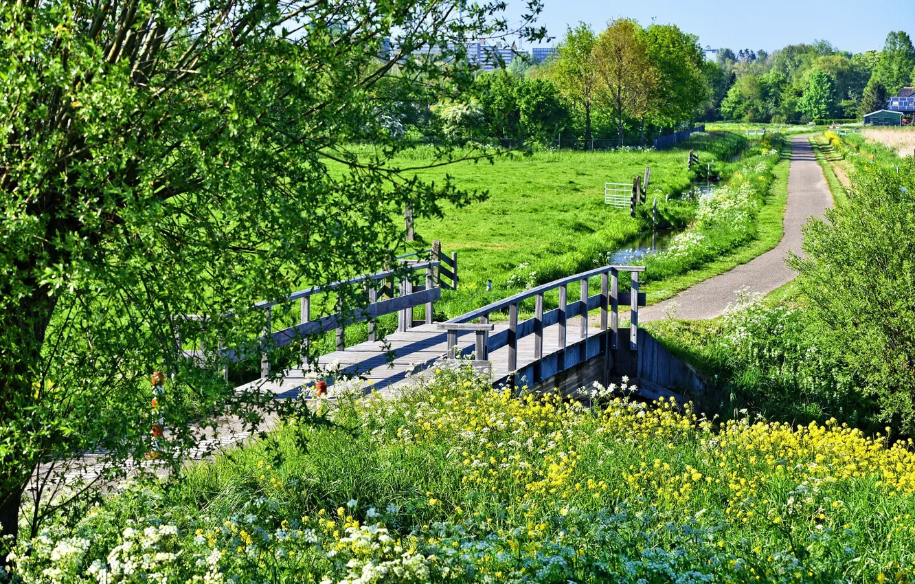 Photo wallpaper road, trees, bridge, spring