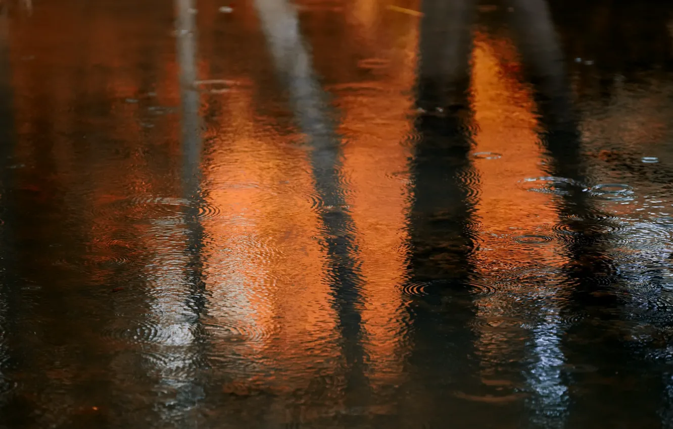 Photo wallpaper autumn, water, rain