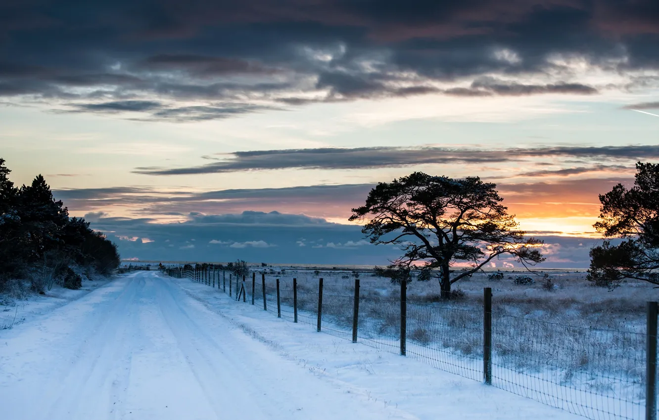 Photo wallpaper winter, road, field, the sky, snow, trees, landscape, sunset
