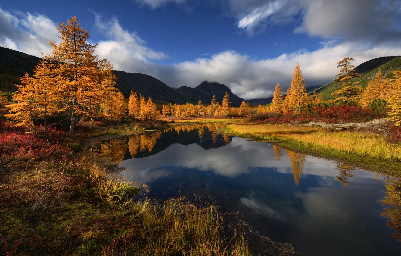Photo wallpaper autumn, water, trees, mountains, stream, Russia, Magadan oblast, Ridge Cherskogo