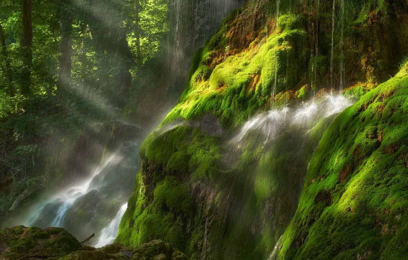 Photo wallpaper greens, forest, water, the sun, rays, light, squirt, stones