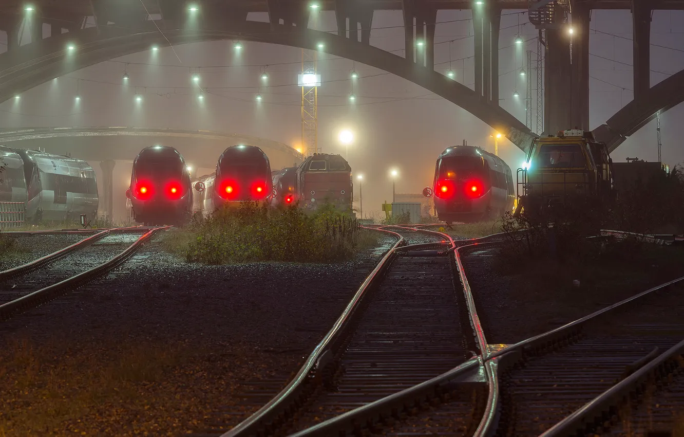 Photo wallpaper fog, trains