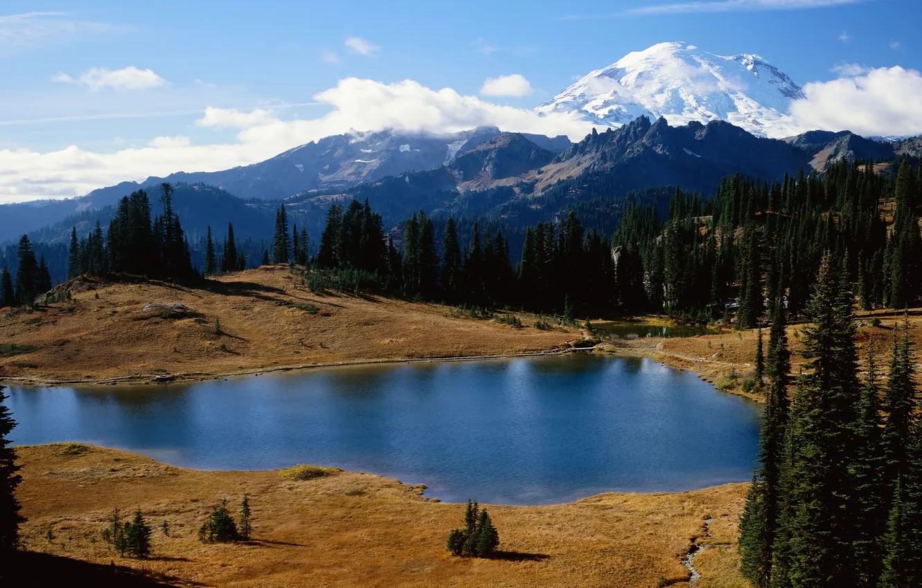 Photo wallpaper water, trees, landscape, photo, Wallpaper, dual monitor, 3200x1200, widescreen wallpapers