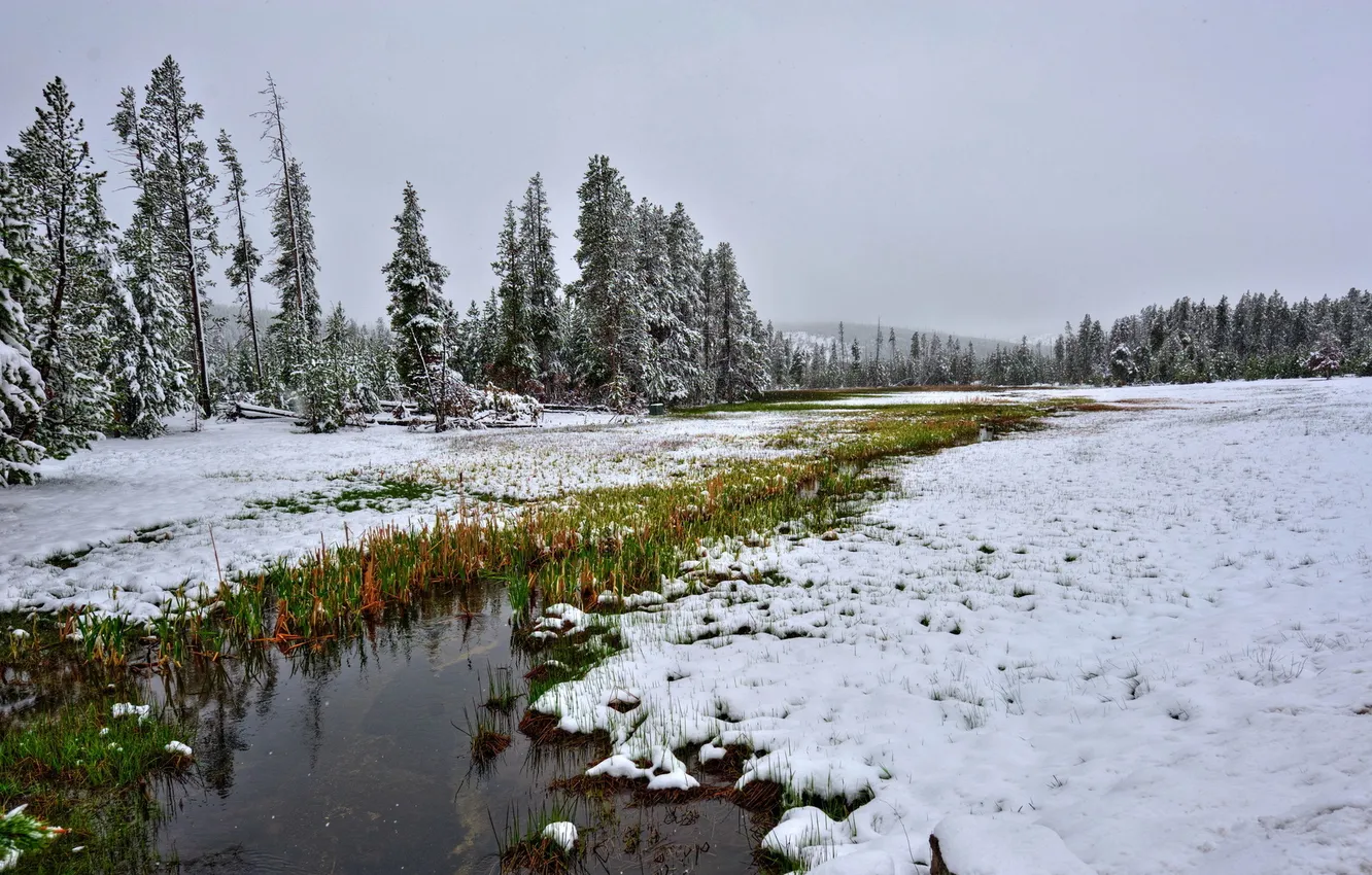 Photo wallpaper autumn, landscape, nature, river