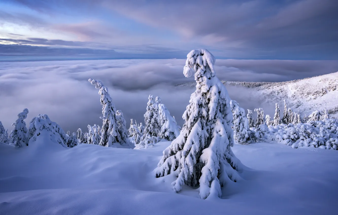 Photo wallpaper winter, clouds, snow, trees, landscape, mountains, nature, ate