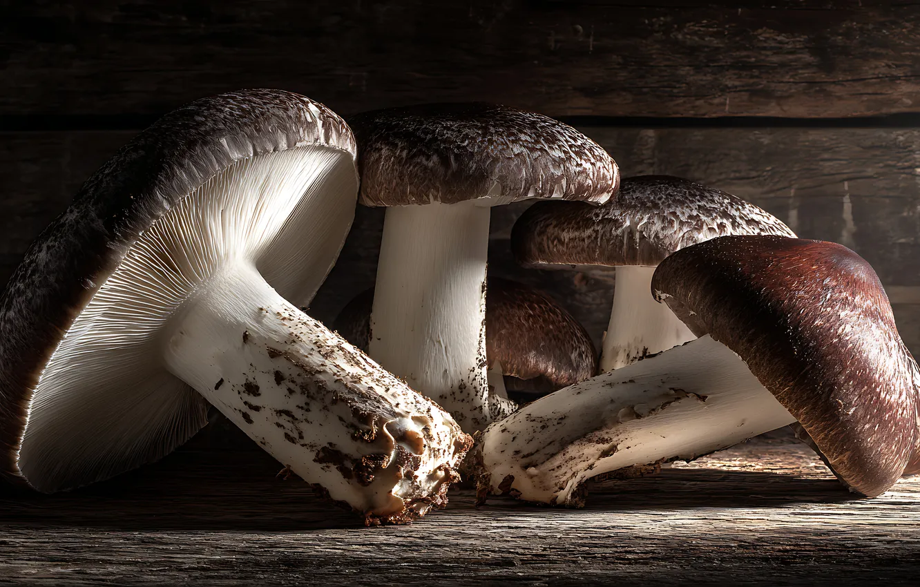 Photo wallpaper light, mushrooms, Board, different, AI art, neural network