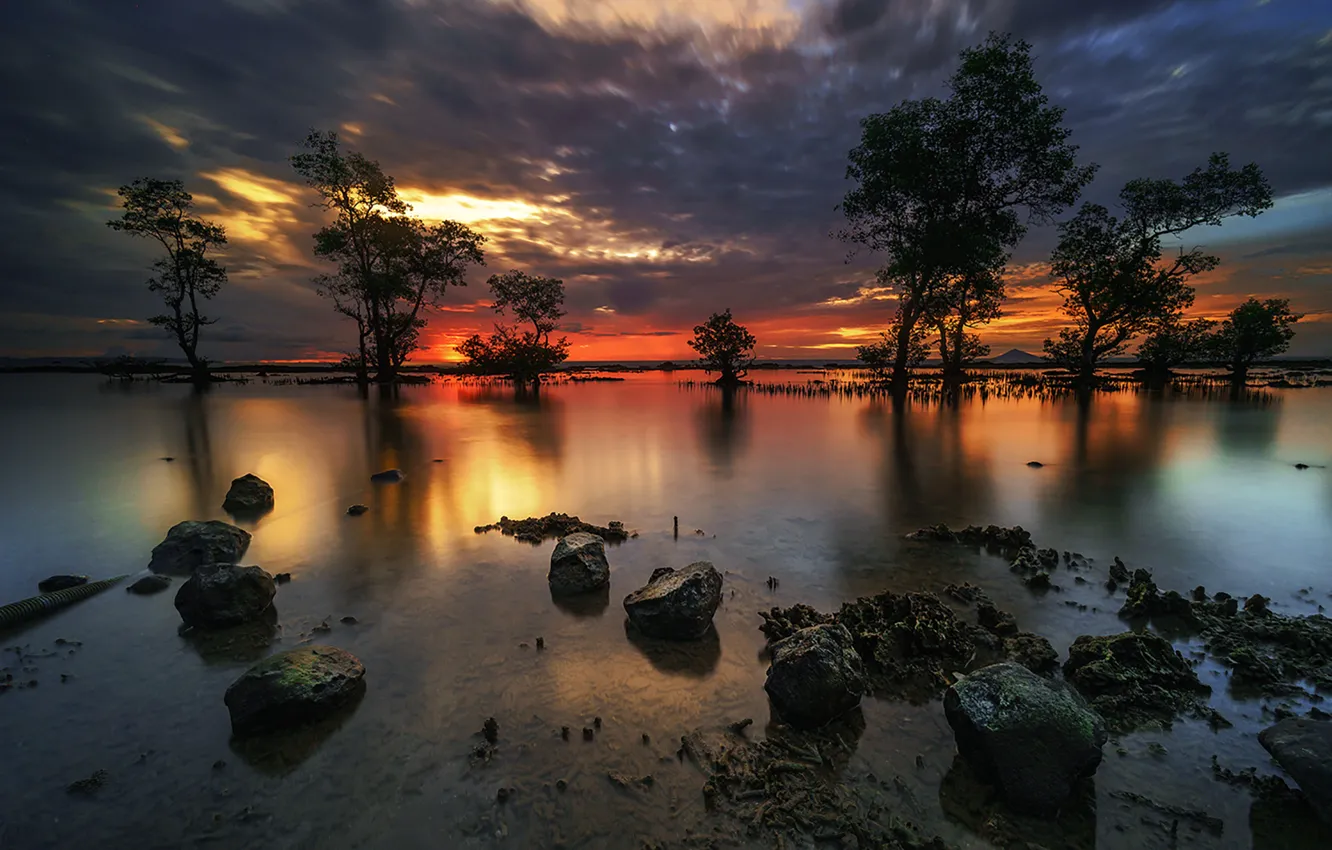 Photo wallpaper sea, trees, sunset, stones, horizon, Indonesia