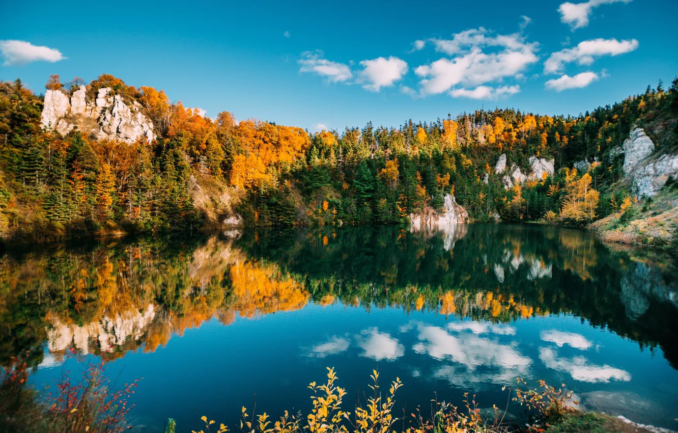 Photo wallpaper autumn, forest, the sky, water, clouds, trees, lake, reflection