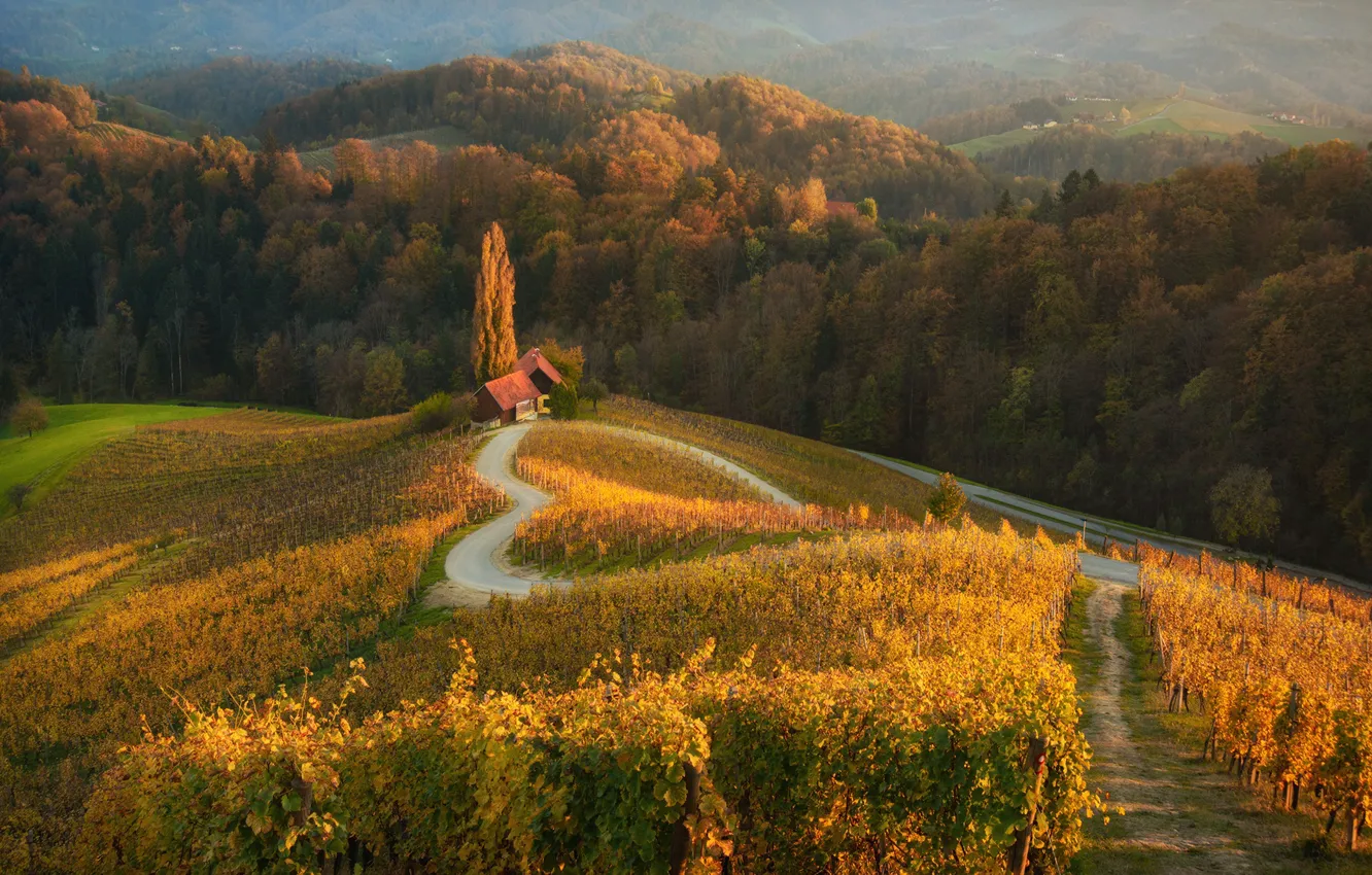 Photo wallpaper road, autumn, forest, sunset, house, Slovenia, Materov.
