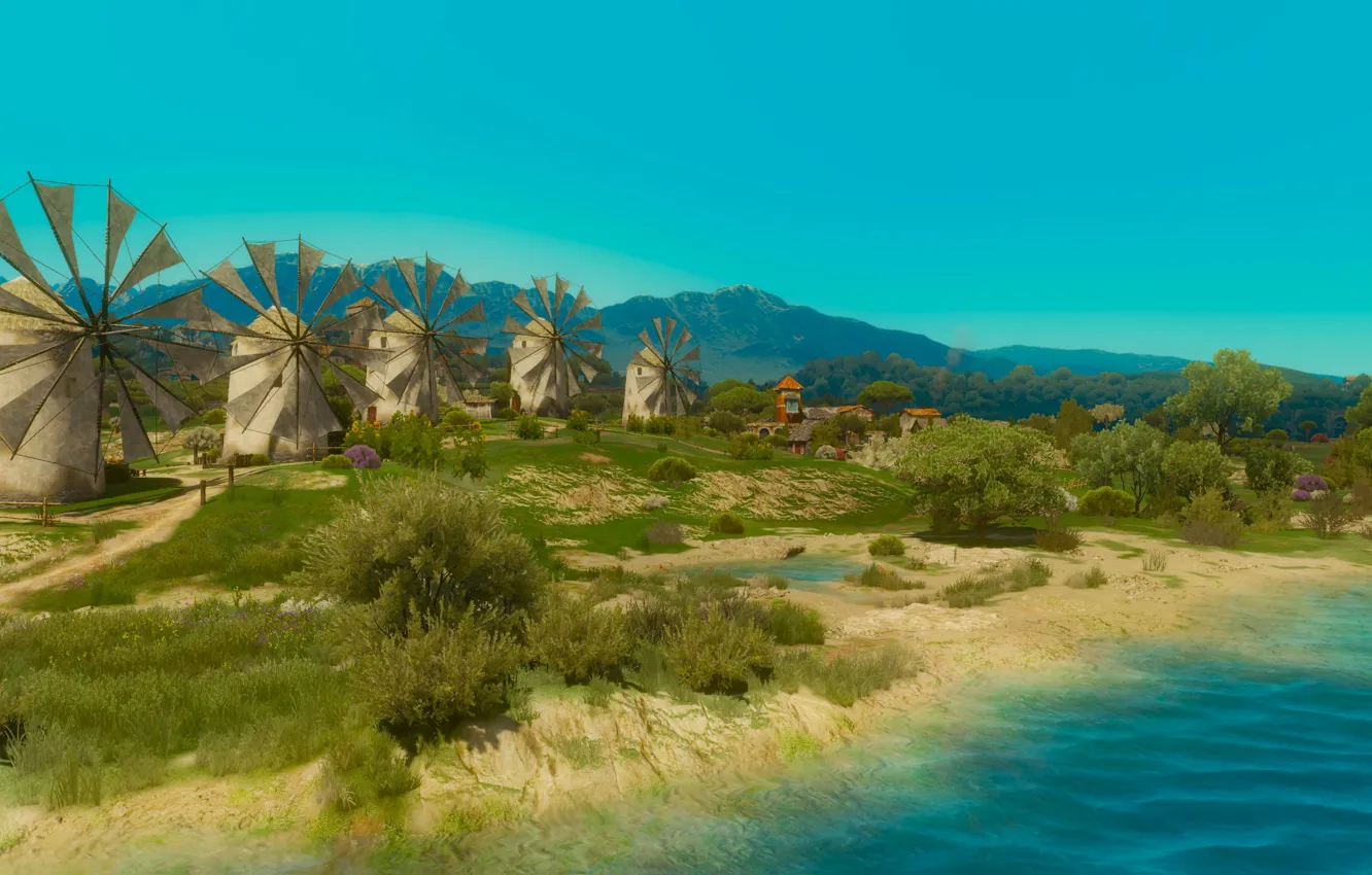 Photo wallpaper field, river, mill, The Witcher 3 Wild Hunt, Toussaint