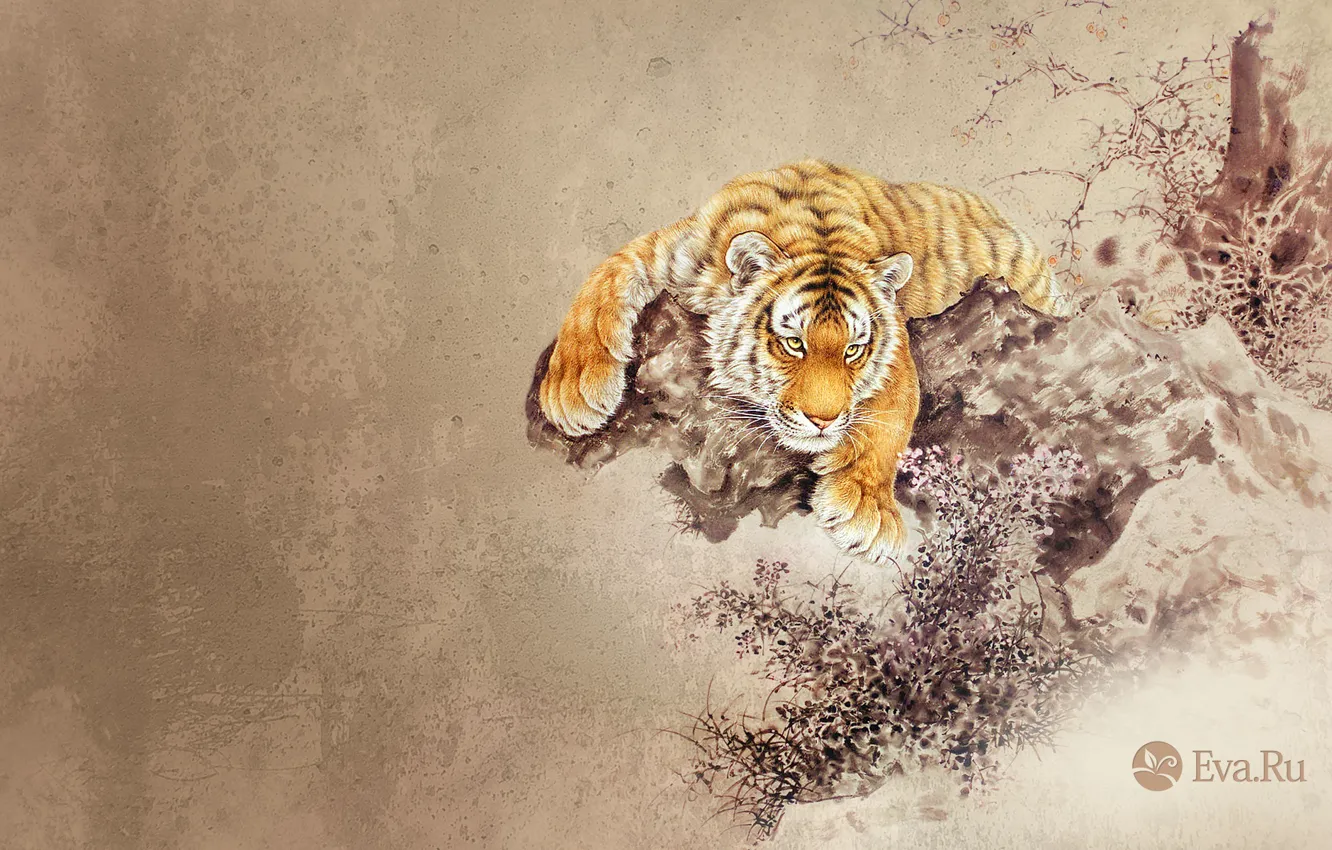 Photo wallpaper tiger, animal, figure