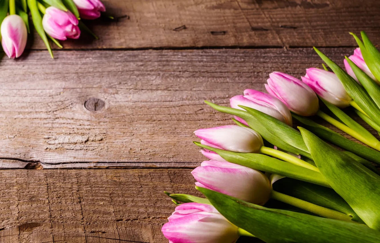 Photo wallpaper flowers, bouquet, tulips, pink, fresh, wood, pink, flowers