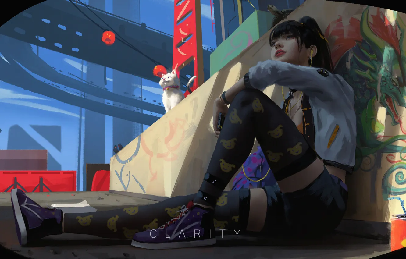 Photo wallpaper girl, anime, sitting, turtle