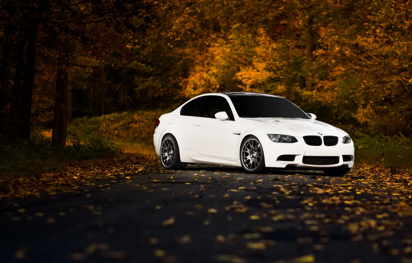 Photo wallpaper autumn, forest, BMW, bmw m3