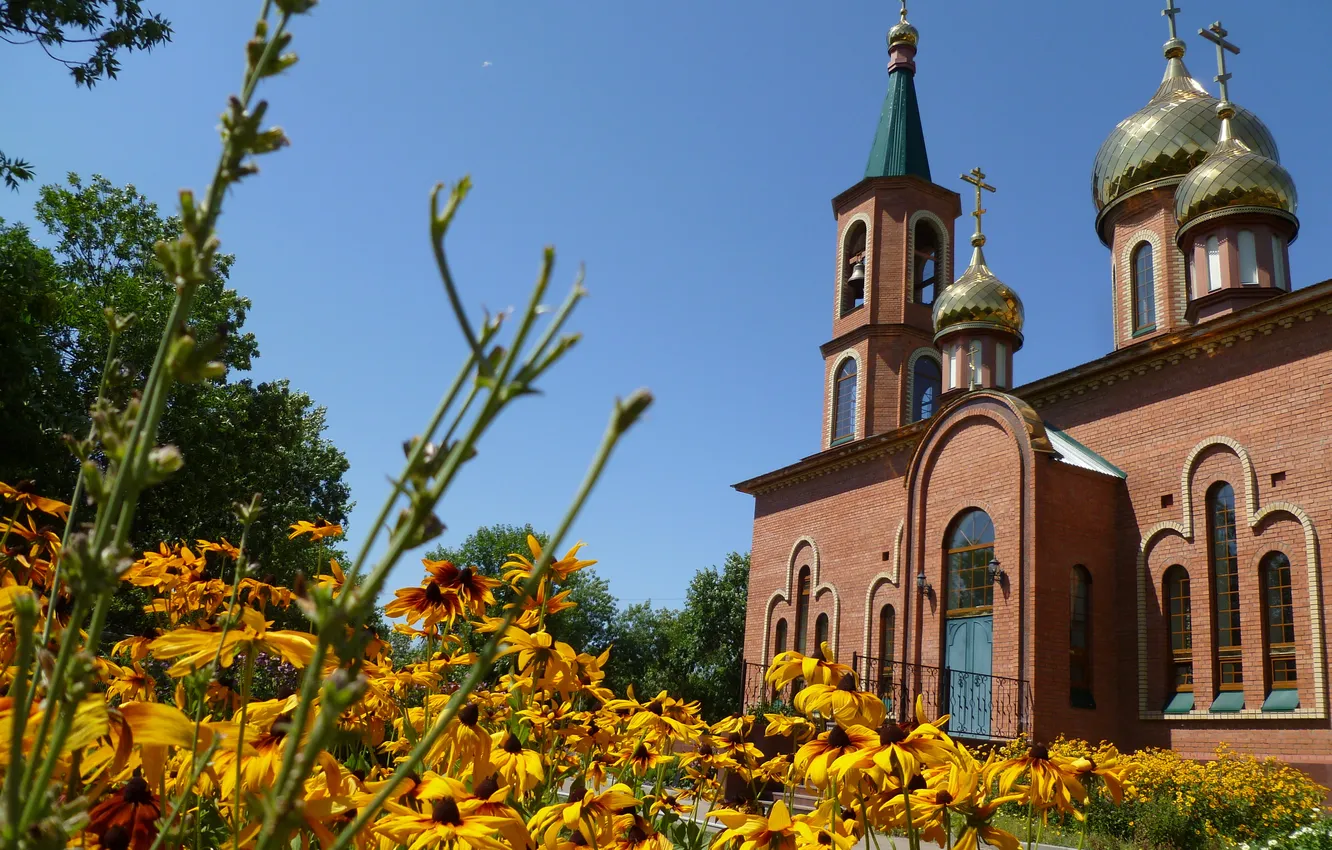 Photo wallpaper flowers, yellow, cross, Church
