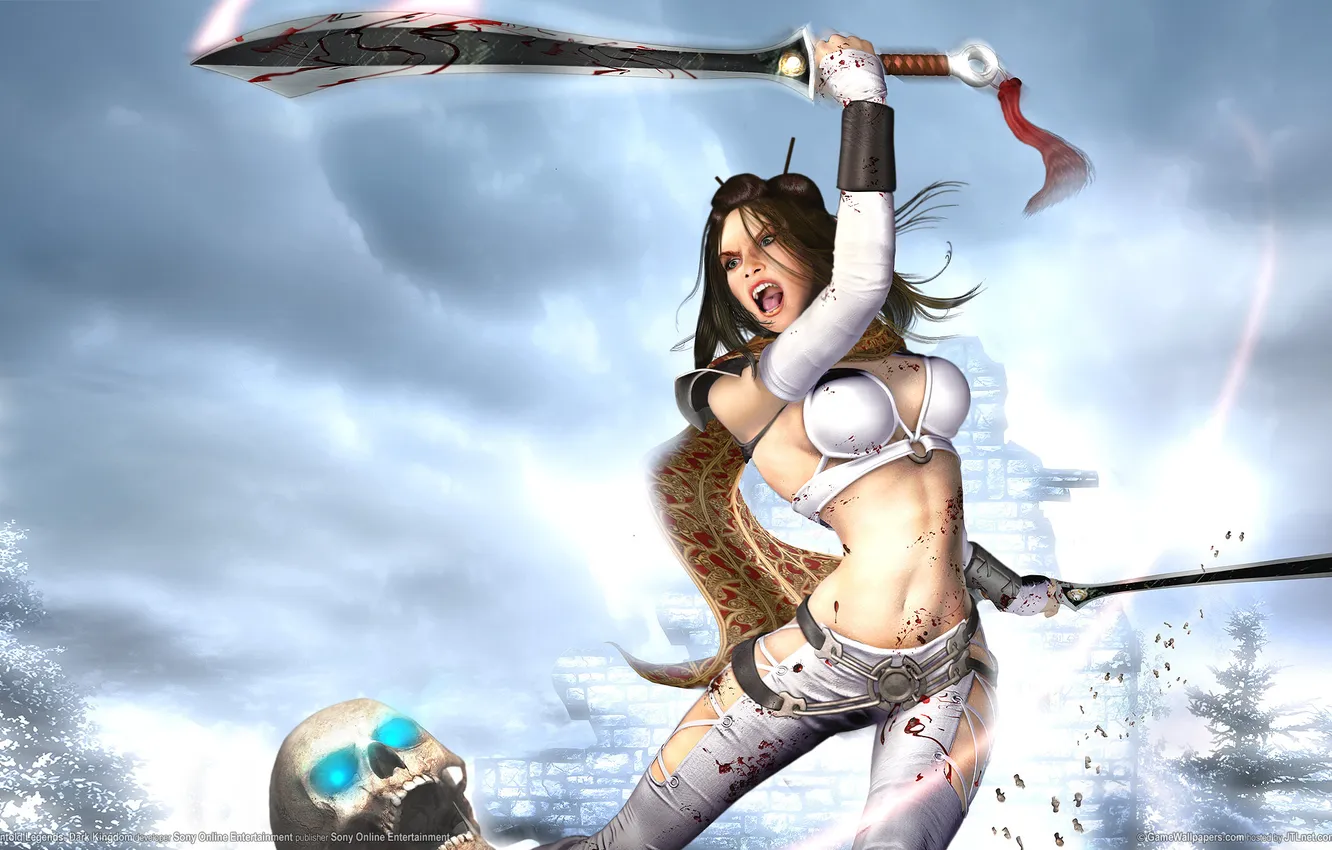 Photo wallpaper girl, weapons, castle, blood, skull, sword, fantasy, sake
