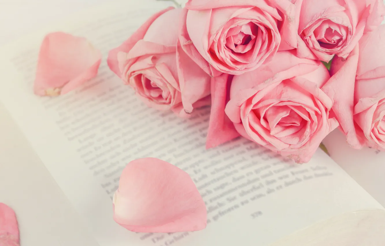 Photo wallpaper flowers, roses, petals, pink, buds, pink, flowers, romantic