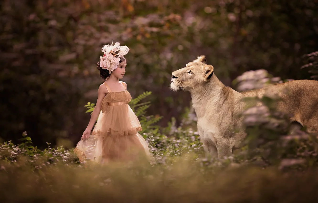 Photo wallpaper nature, animal, predator, dress, girl, outfit, lioness