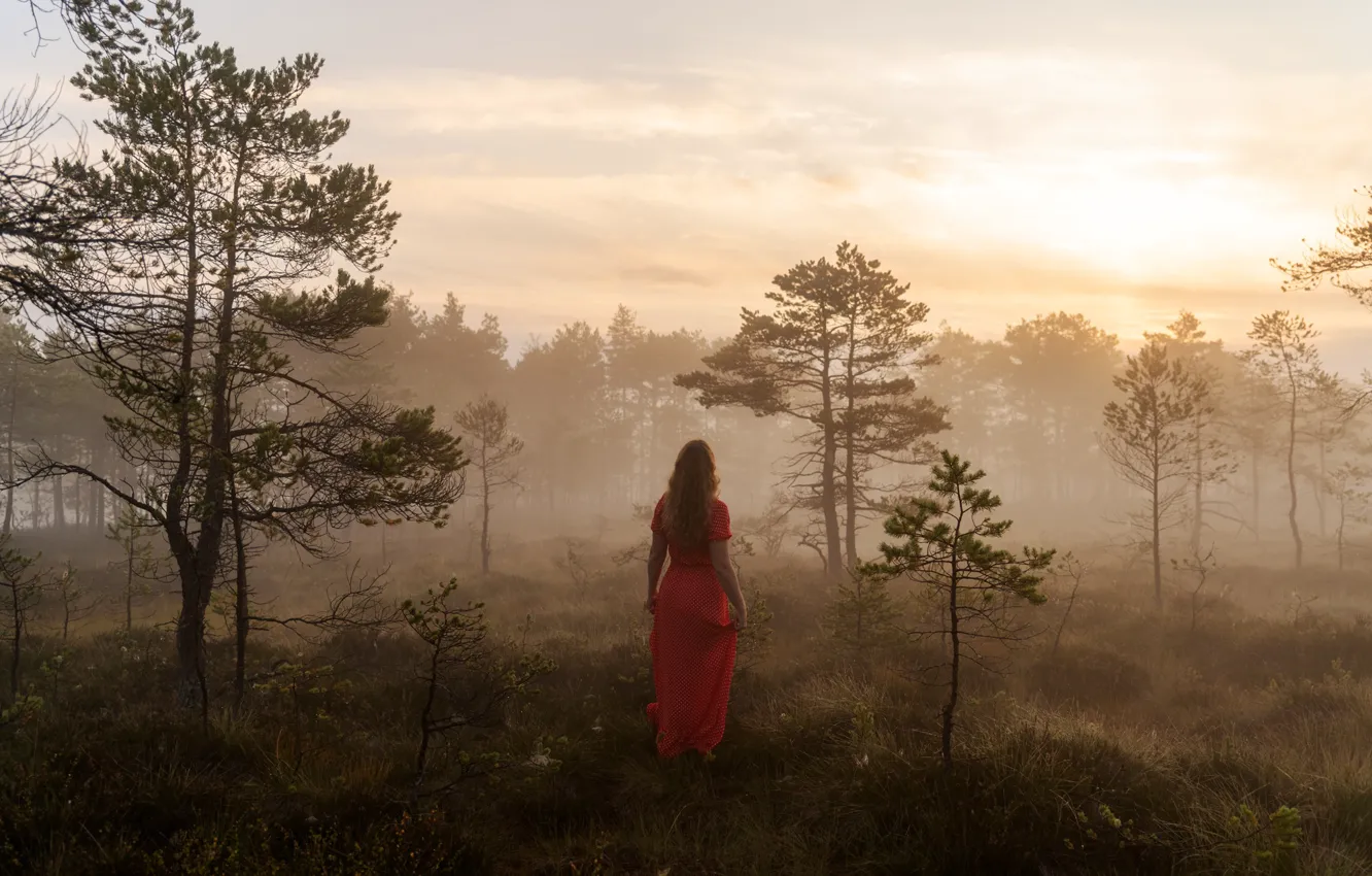 Photo wallpaper autumn, forest, girl, trees, landscape, fog, morning, dress