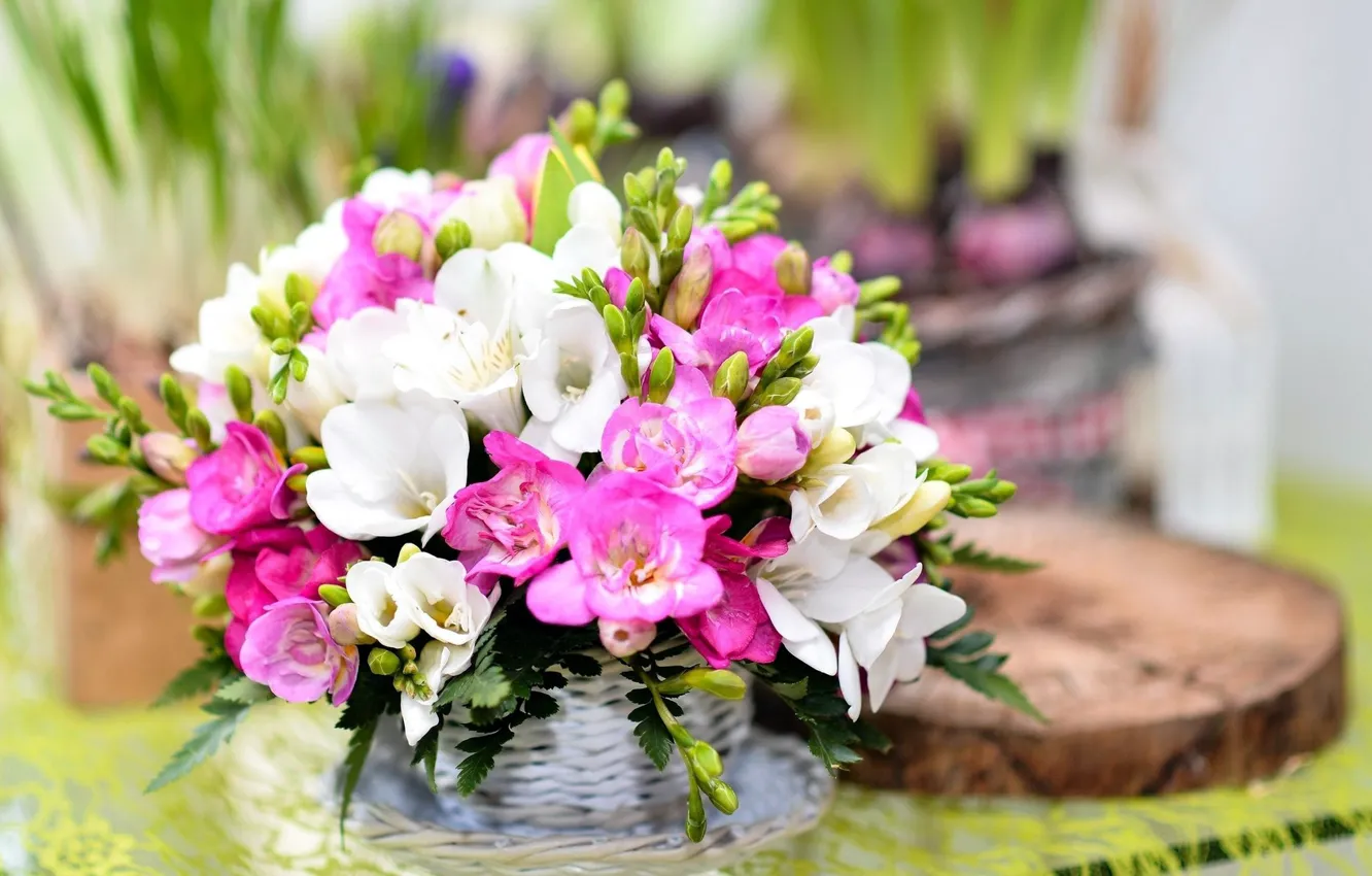 Photo wallpaper flowers, bouquet, freesia