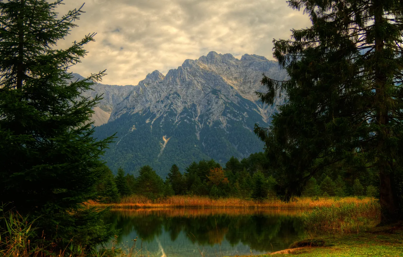 Photo wallpaper autumn, forest, grass, mountains, branches, lake, pond, shore