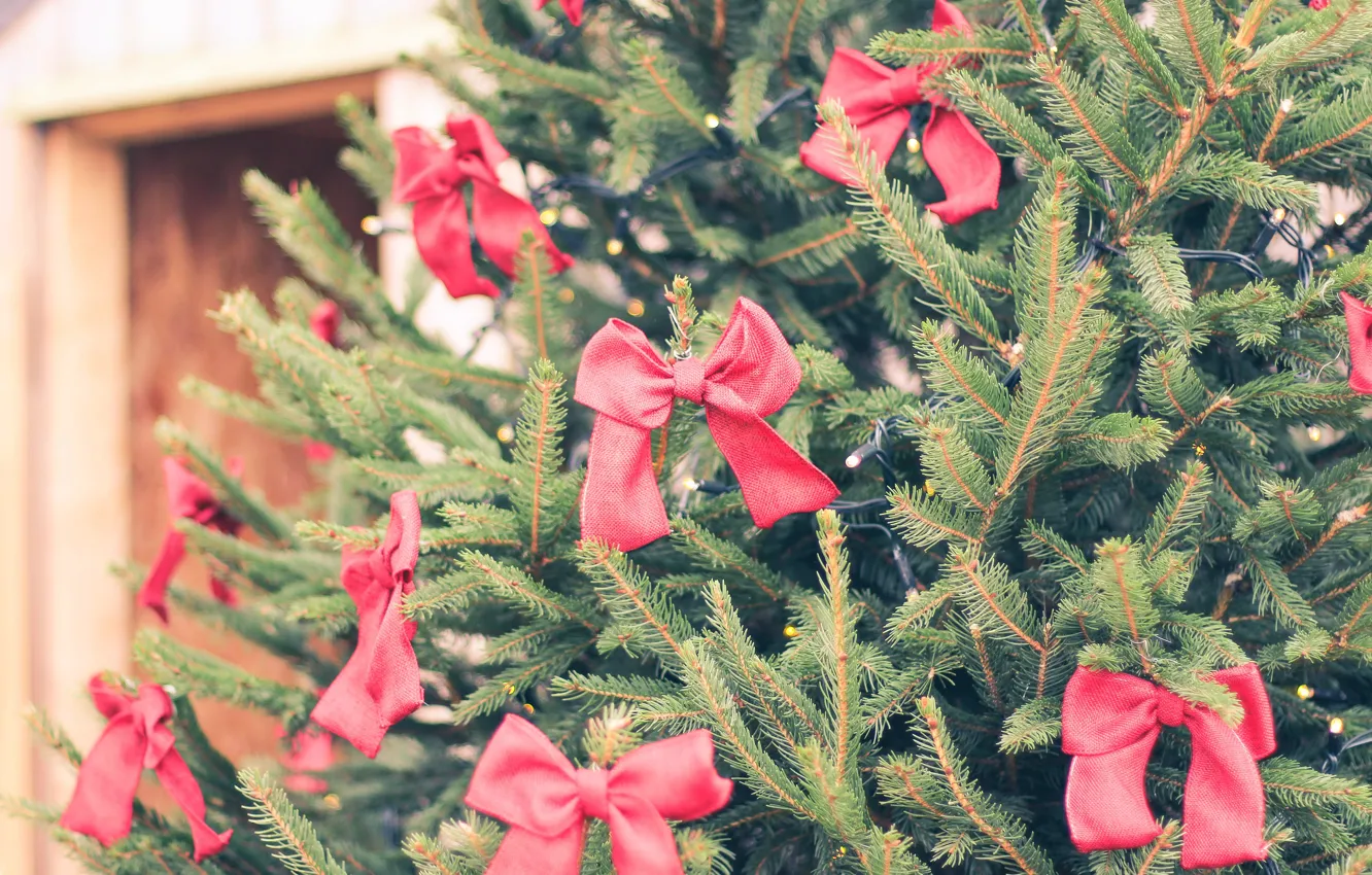 Photo wallpaper holiday, tree, bow