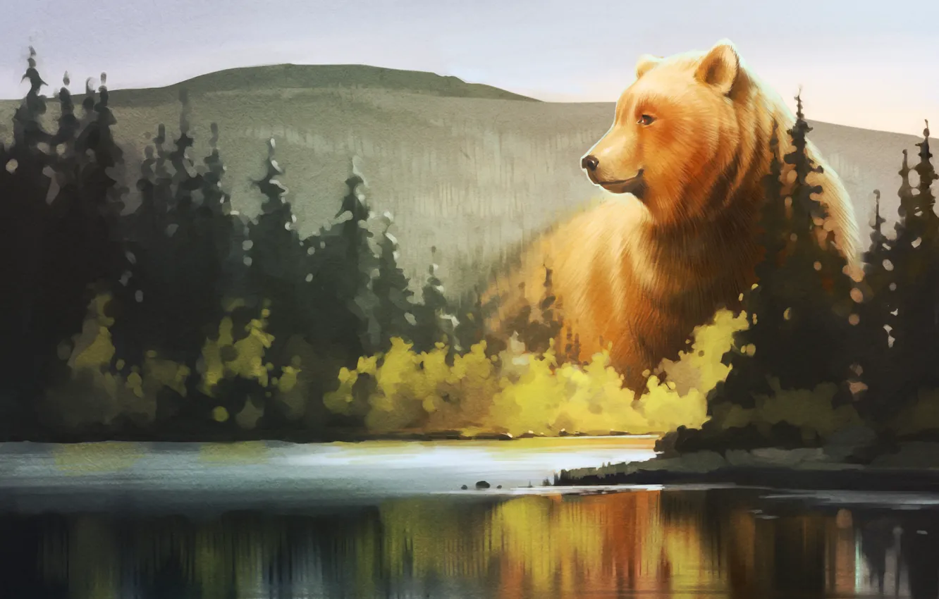 Photo wallpaper forest, lake, bear