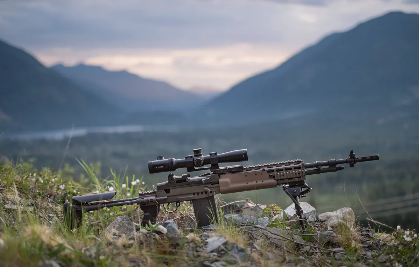 Photo wallpaper weapons, rifle, automatic, Enhanced, Mk 14