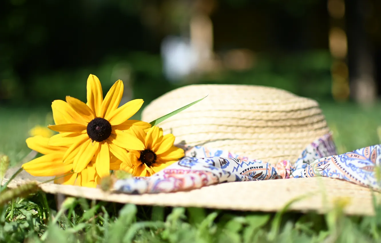Photo wallpaper summer, flowers, hat, rudbeckia