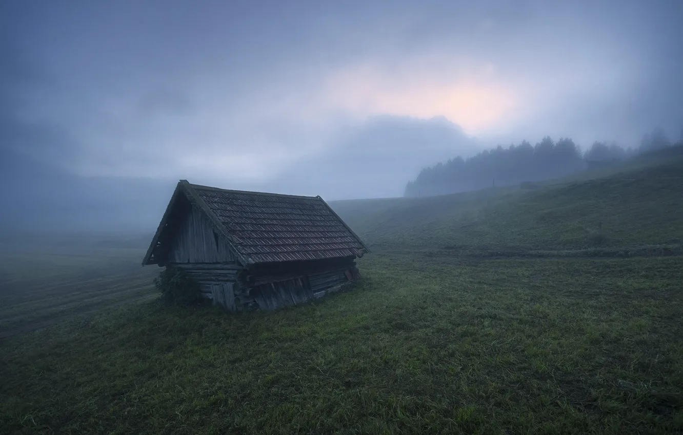Photo wallpaper field, forest, mountains, clouds, fog, hills, morning, Alps