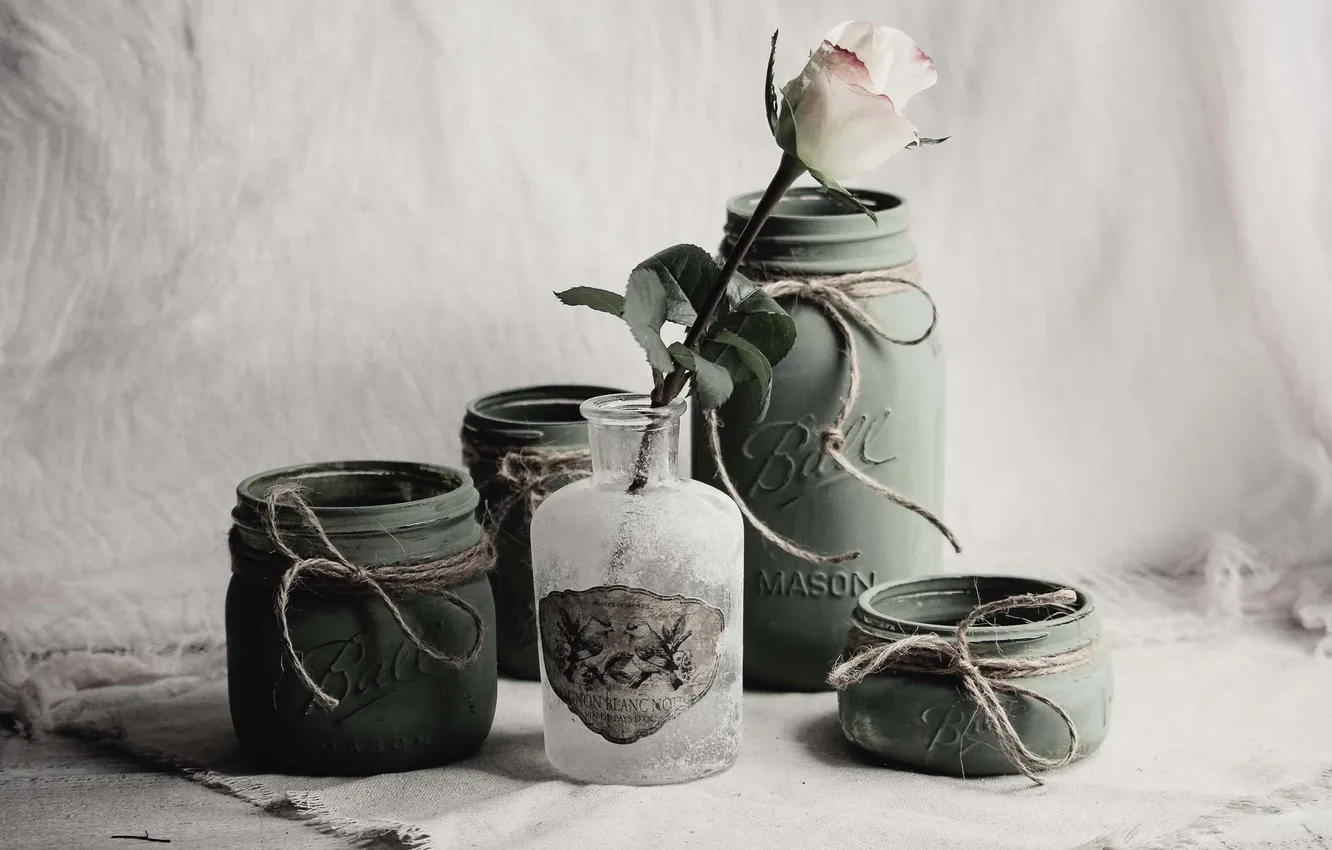 Photo wallpaper flowers, roses, Bank