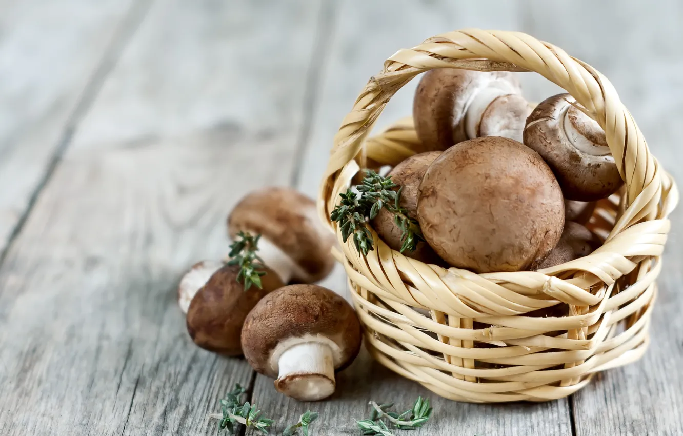 Photo wallpaper mushrooms, basket, Portabello