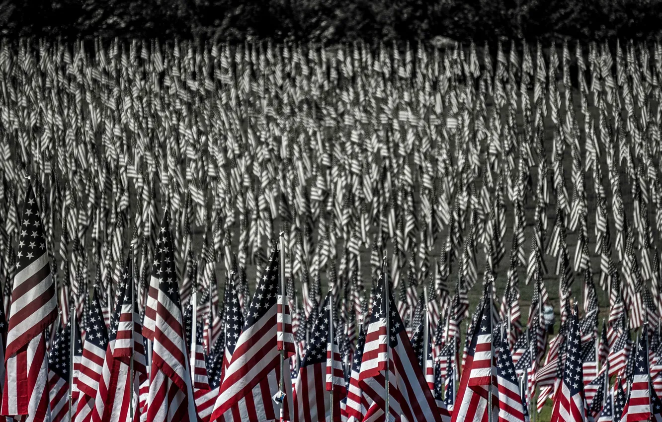 Photo wallpaper background, flag, USA