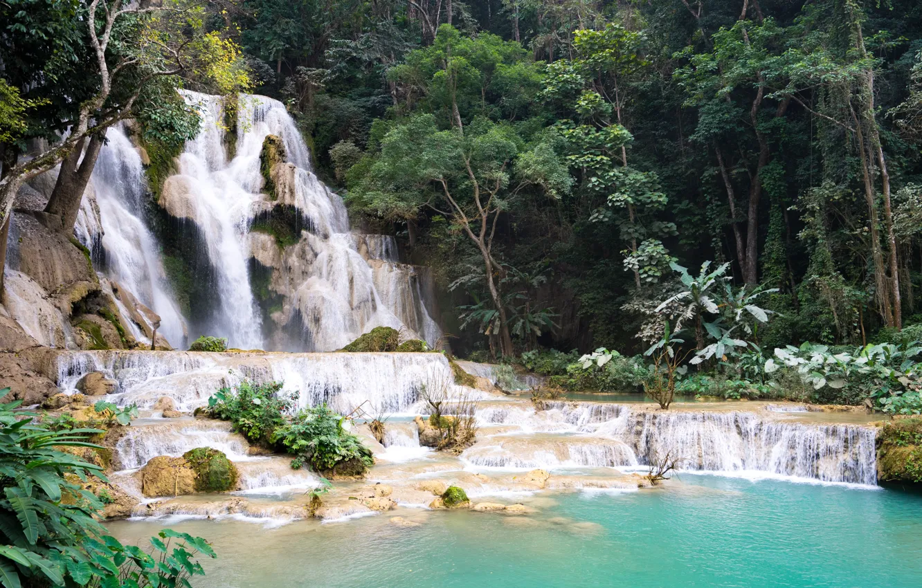 Photo wallpaper forest, landscape, river, rocks, waterfall, summer, forest, tropical