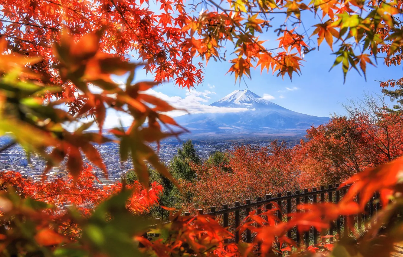 Photo wallpaper autumn, leaves, trees, branches, the fence, mountain, the volcano, Japan