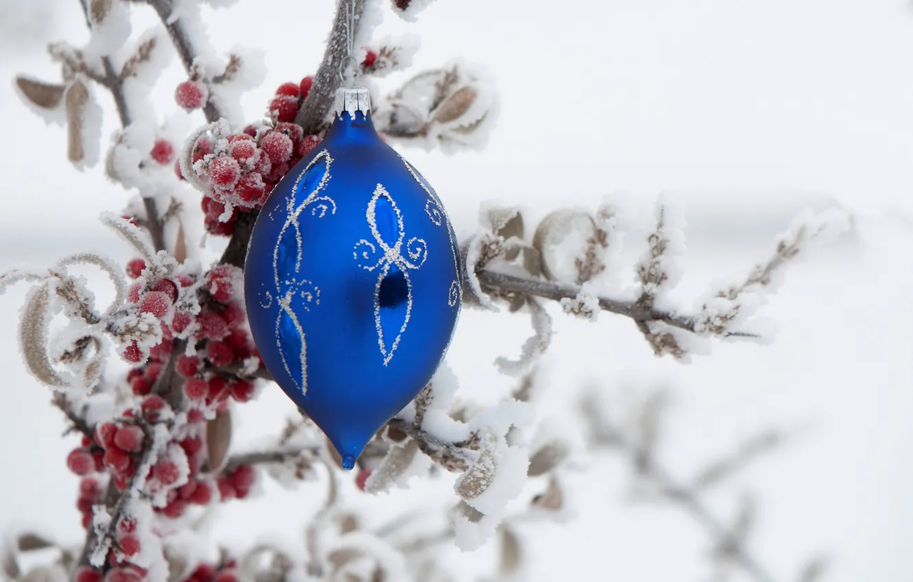 Photo wallpaper winter, frost, berries, holiday, toy