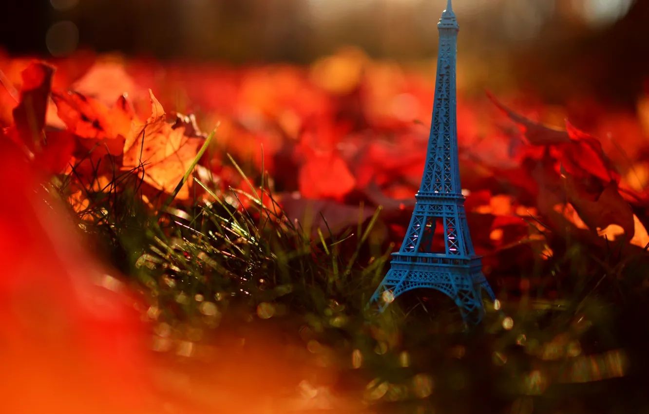 Photo wallpaper autumn, grass, leaves, nature, France, Paris, Eiffel tower, Paris