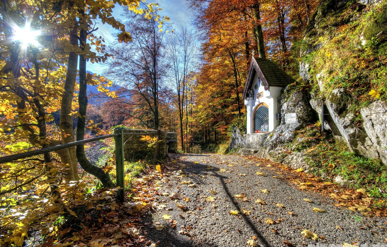 Photo wallpaper road, trees, chapel