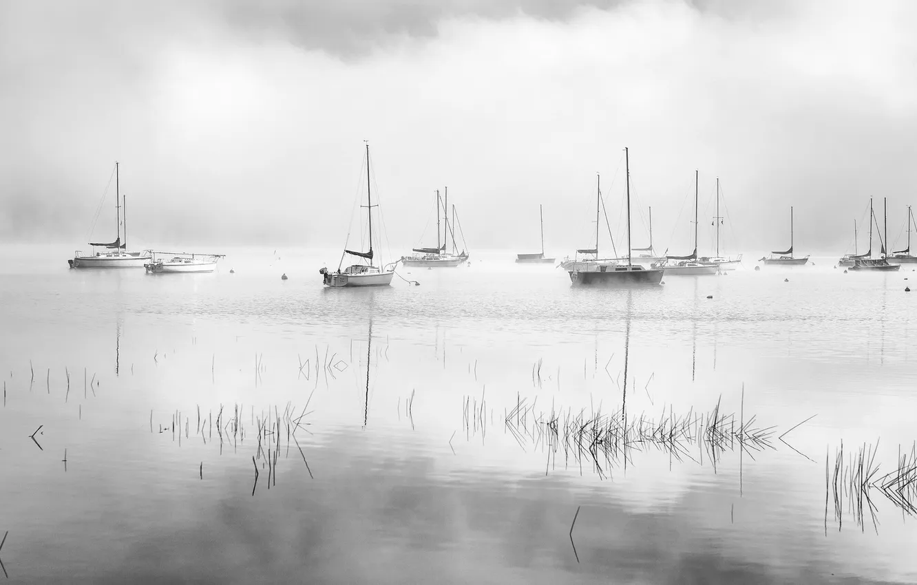 Photo wallpaper lake, fog, dawn, mist, sailboats