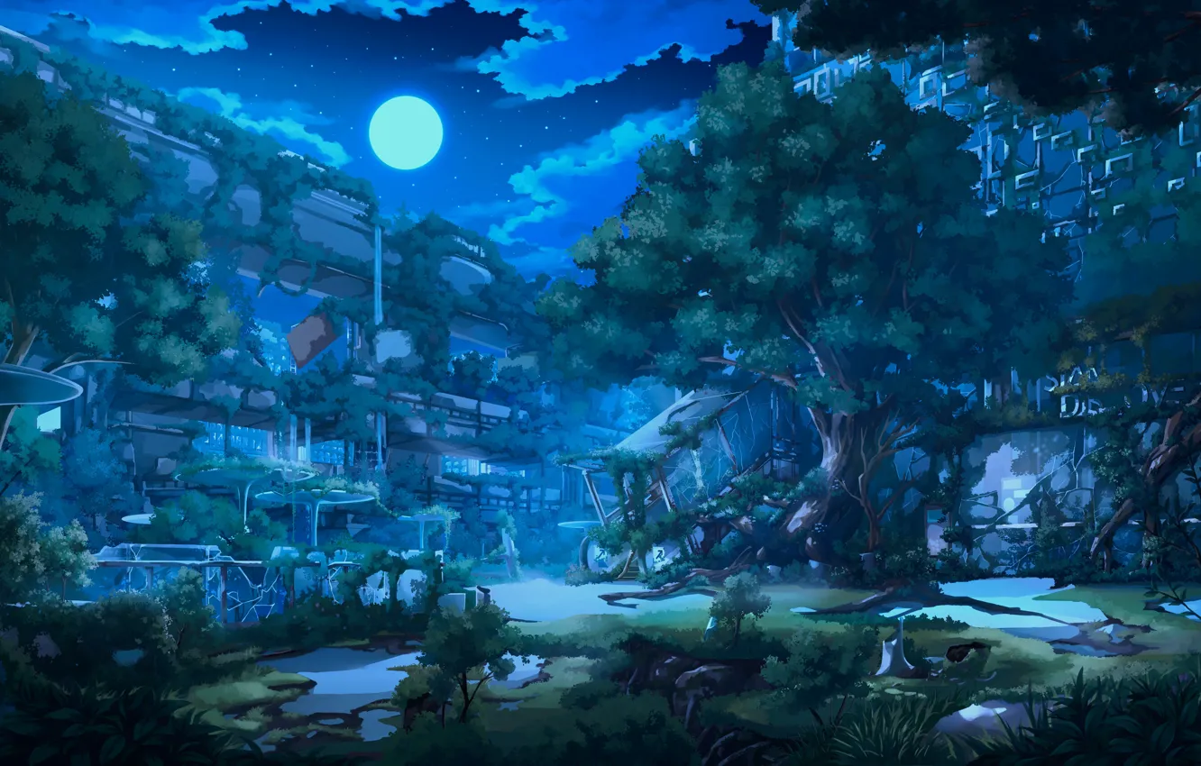 Photo wallpaper stars, night, the city, Apocalypse, figure, anime