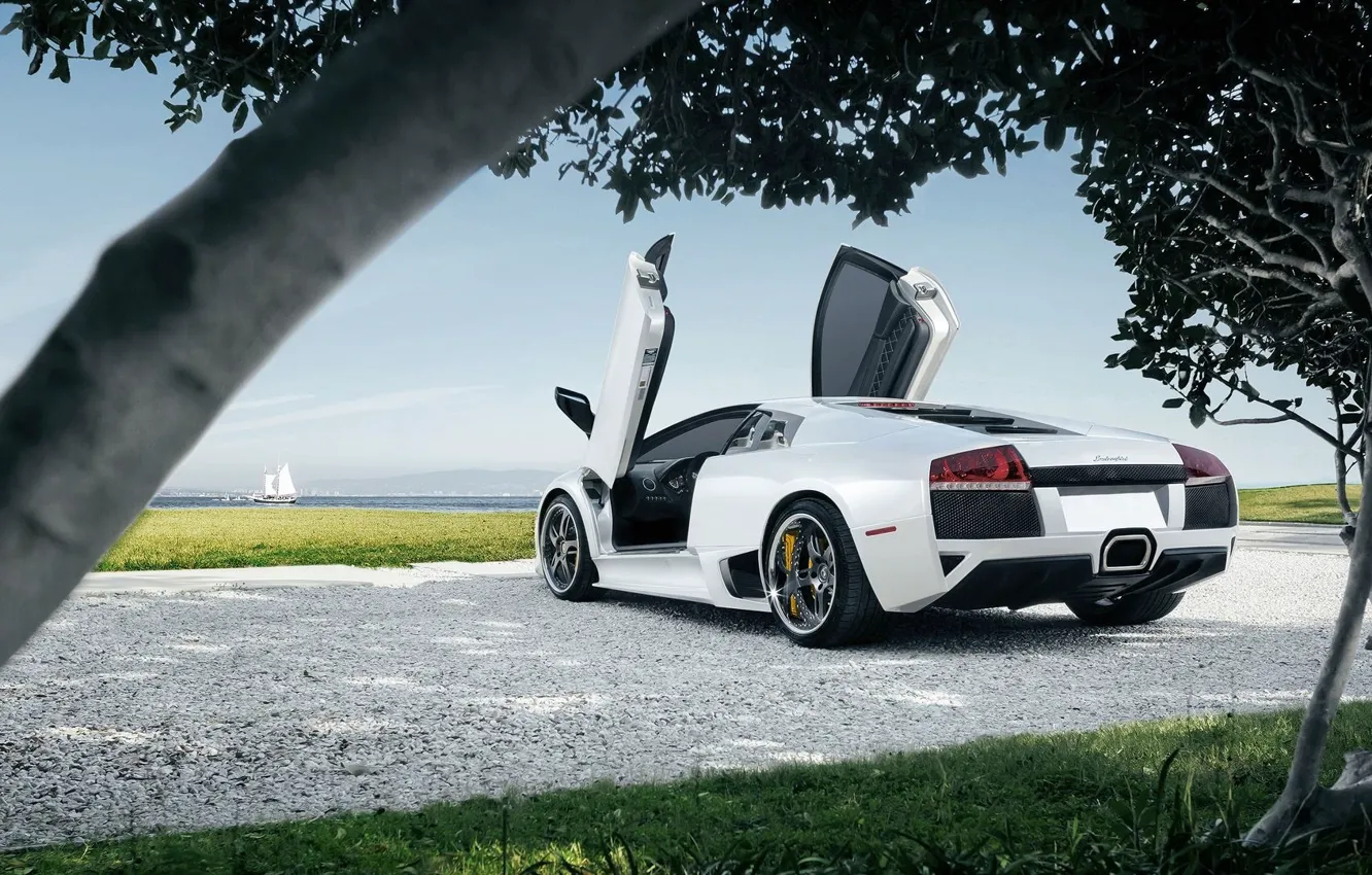 Photo wallpaper Lamborghini, Sky, Grass, Sun, Murcielago, White, Supercar, Trees